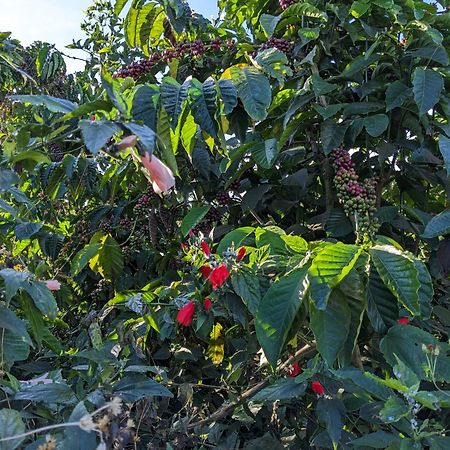 Ivy Coffee Farm - Garden House Apartamento Duc Trong Exterior foto