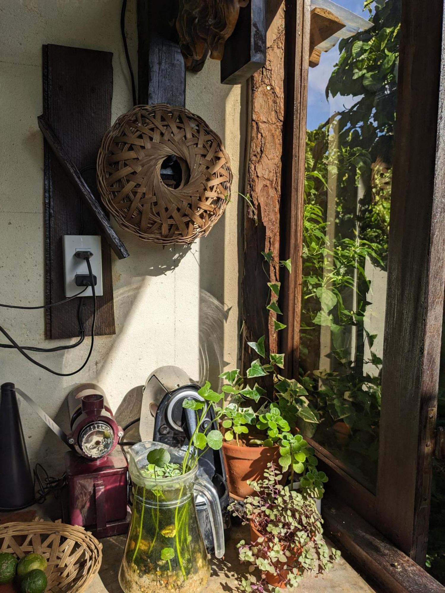 Ivy Coffee Farm - Garden House Apartamento Duc Trong Exterior foto
