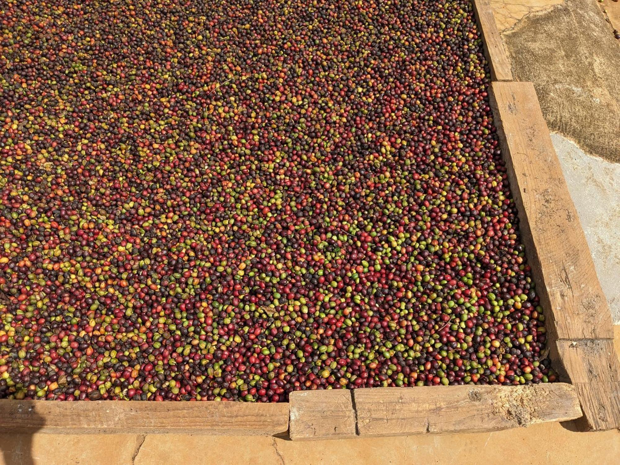 Ivy Coffee Farm - Garden House Apartamento Duc Trong Exterior foto