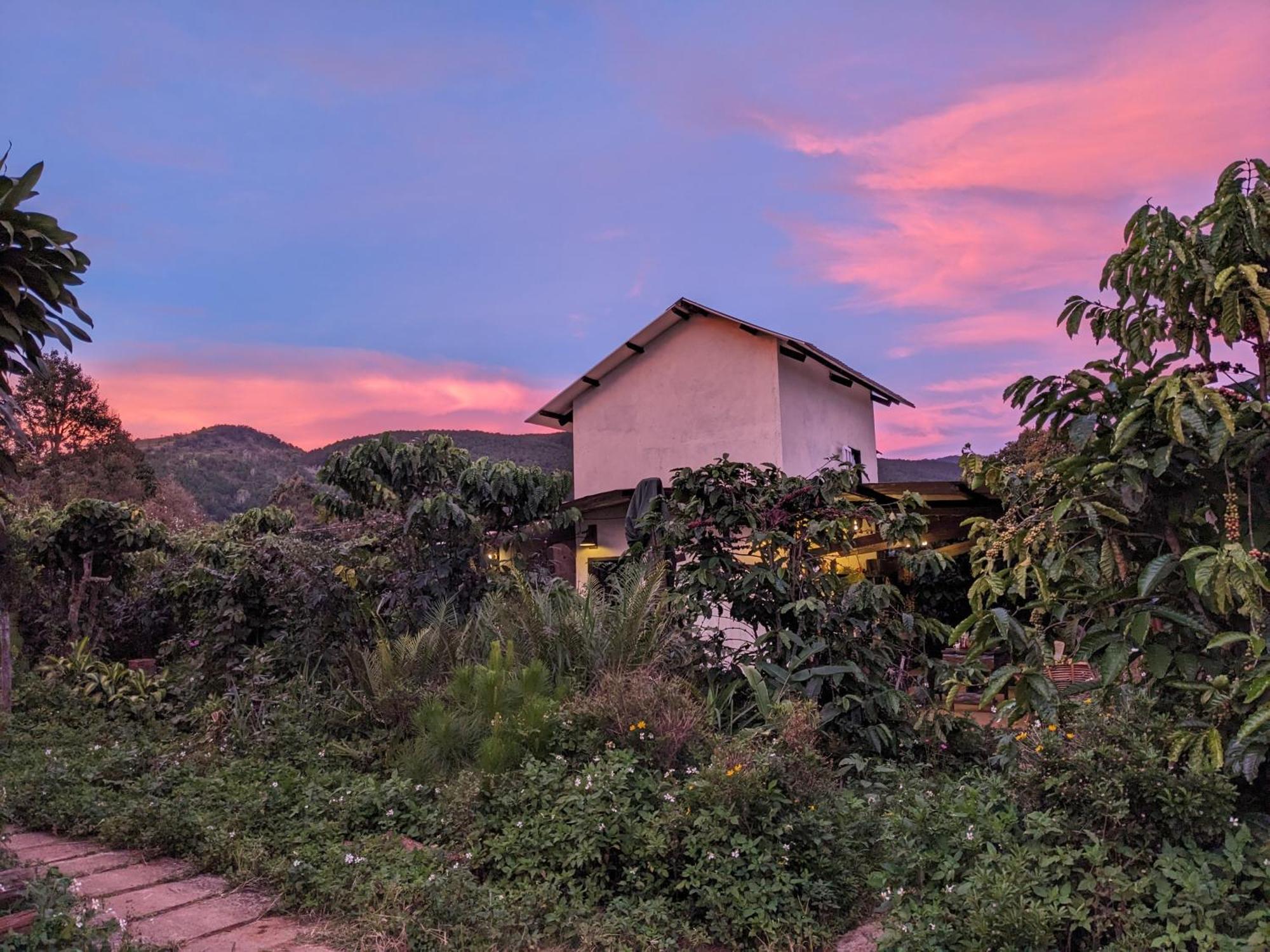 Ivy Coffee Farm - Garden House Apartamento Duc Trong Exterior foto