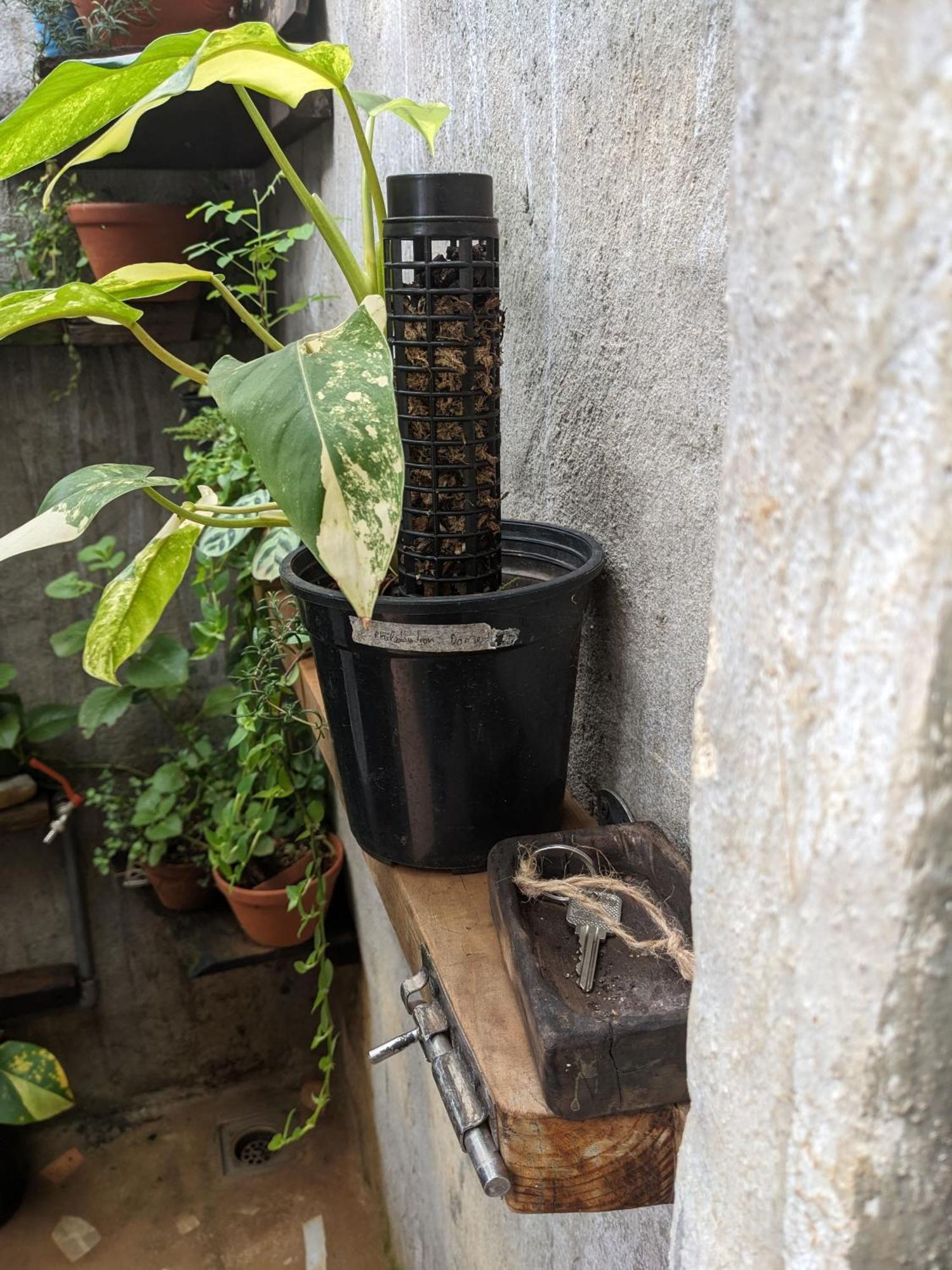 Ivy Coffee Farm - Garden House Apartamento Duc Trong Exterior foto