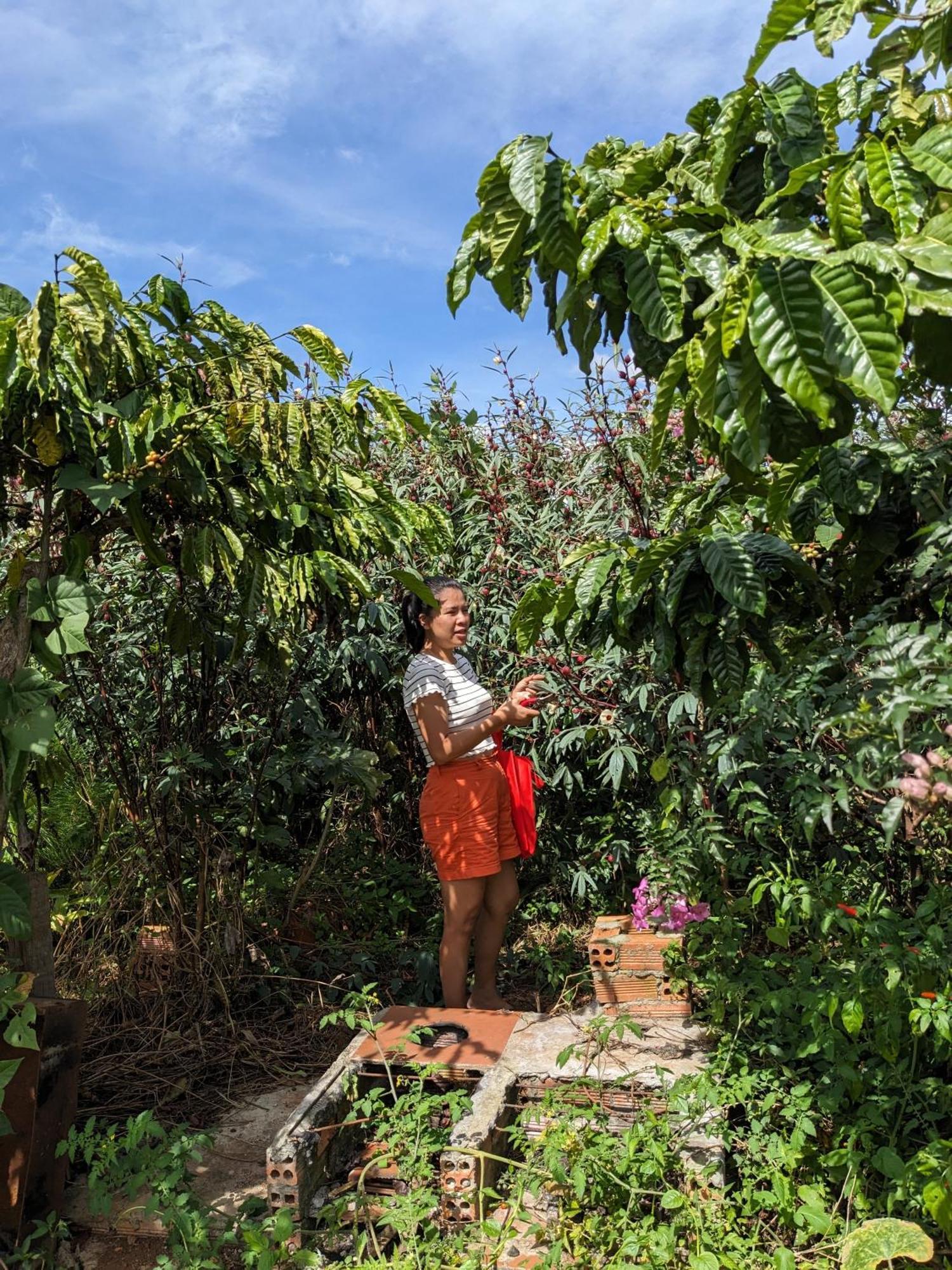 Ivy Coffee Farm - Garden House Apartamento Duc Trong Exterior foto