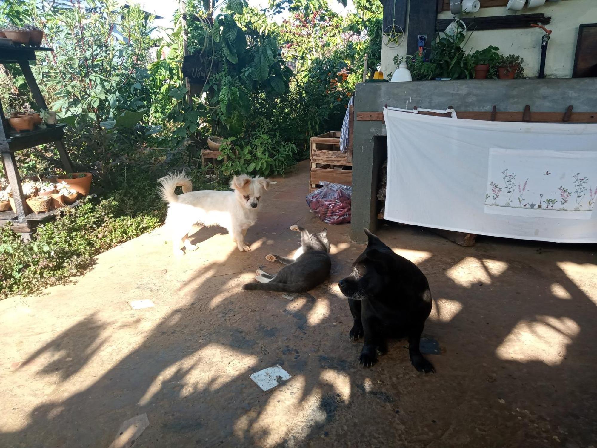 Ivy Coffee Farm - Garden House Apartamento Duc Trong Exterior foto