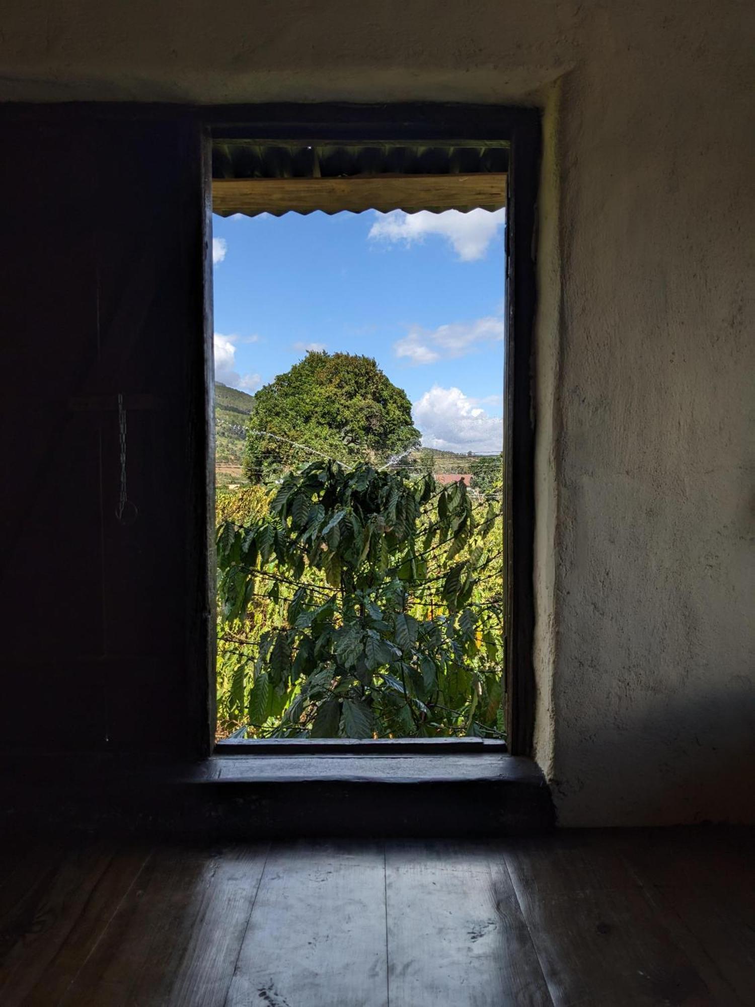 Ivy Coffee Farm - Garden House Apartamento Duc Trong Exterior foto