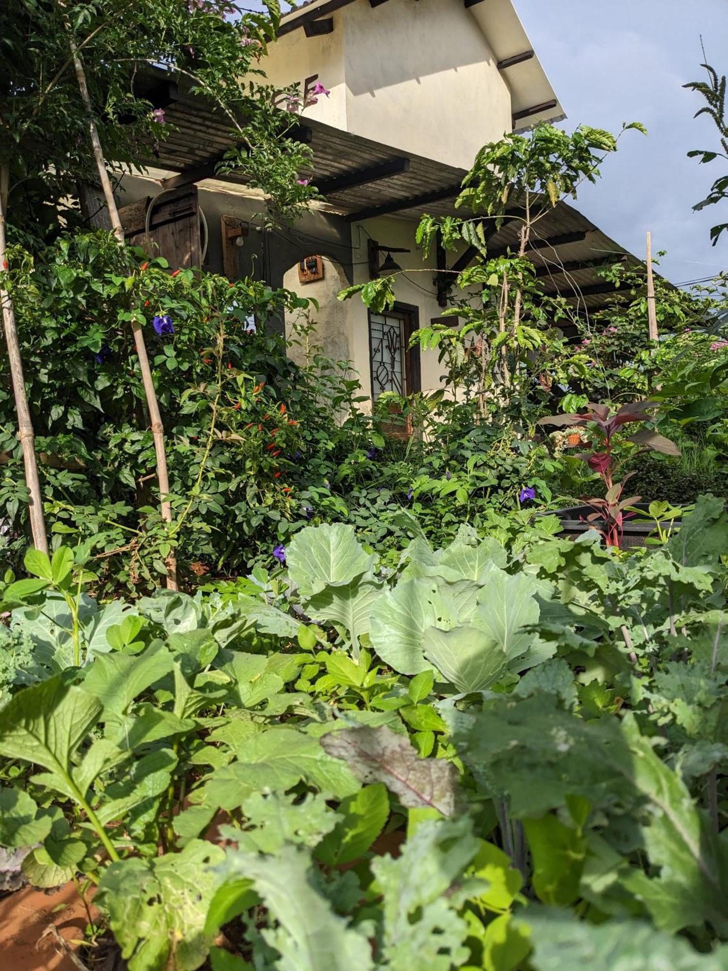 Ivy Coffee Farm - Garden House Apartamento Duc Trong Exterior foto