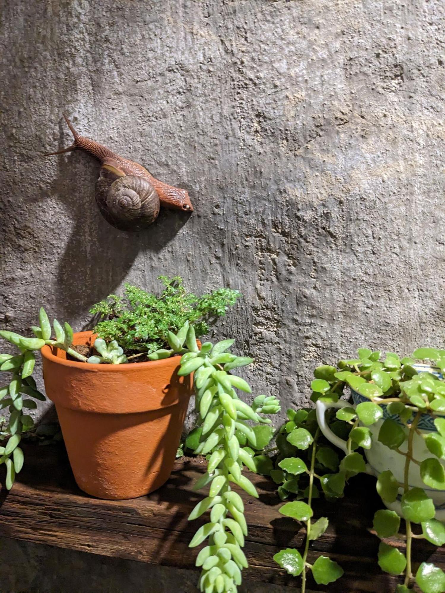 Ivy Coffee Farm - Garden House Apartamento Duc Trong Exterior foto