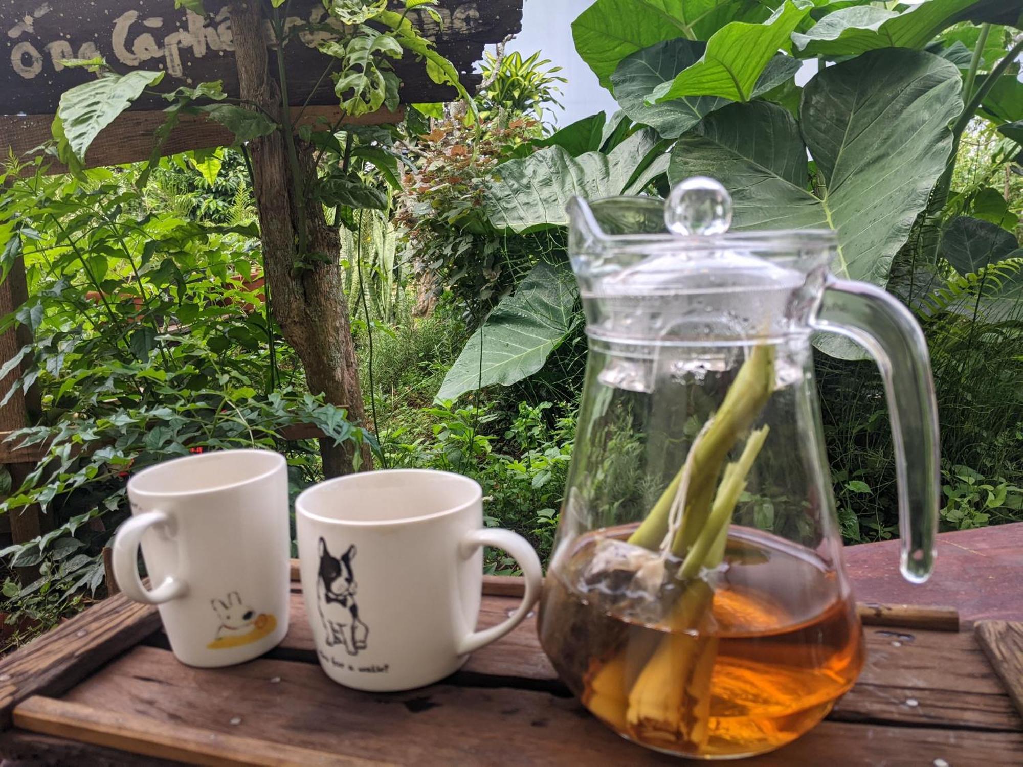 Ivy Coffee Farm - Garden House Apartamento Duc Trong Exterior foto